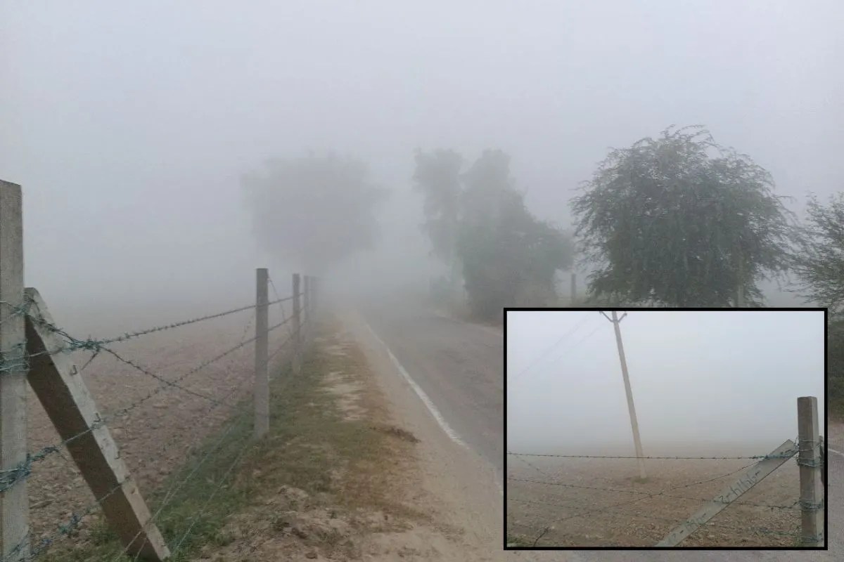 Fog-In-Rajasthan