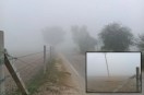 Fog-In-Rajasthan