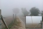 Fog-In-Rajasthan