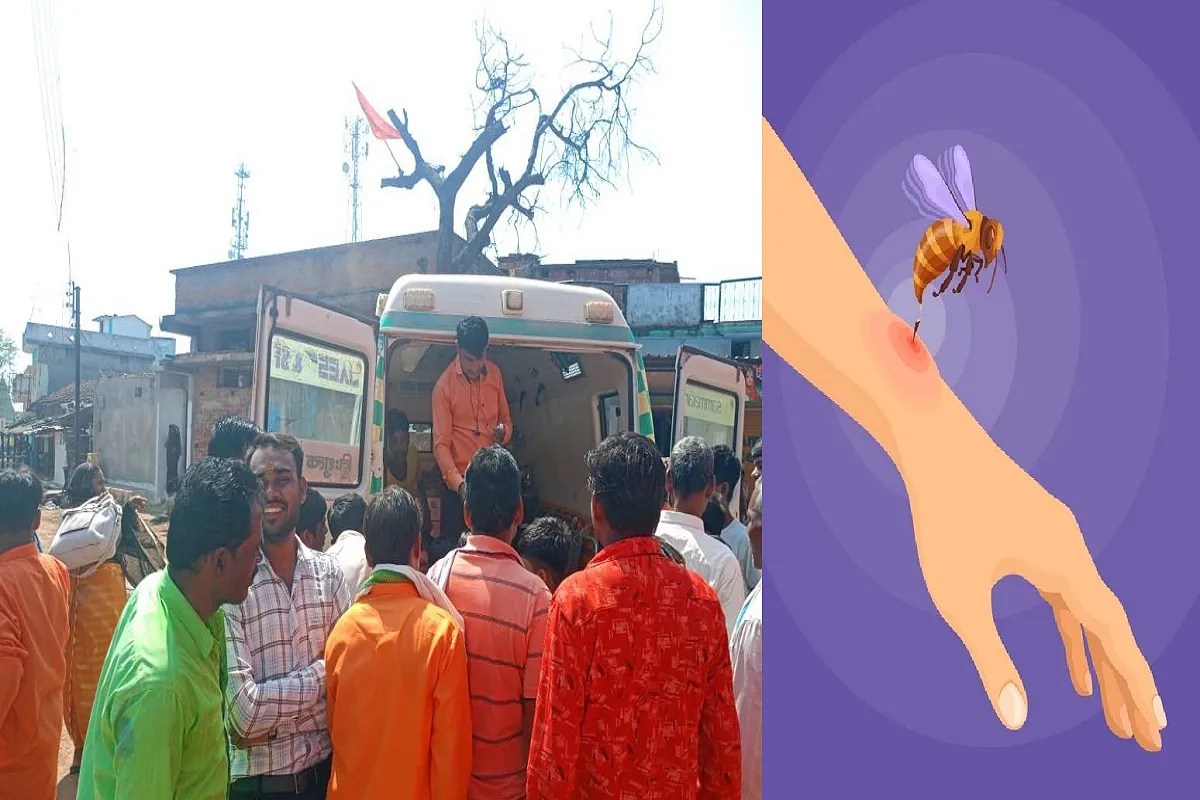 Bee attack: उत्सव में दहशत! मधुमक्खियों के झुंड ने 20 लोगों को किया घायल, मची अफरा-तफरी