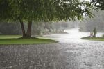 Heavy Rain