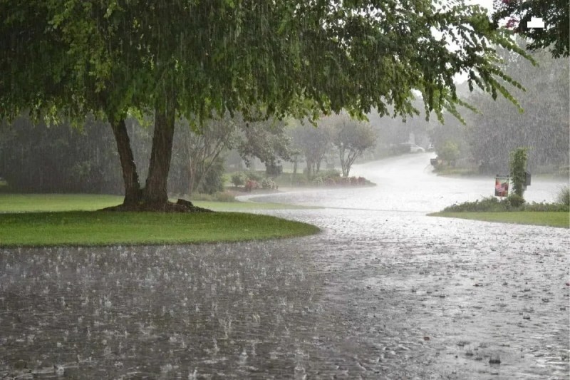Heavy Rain Alert