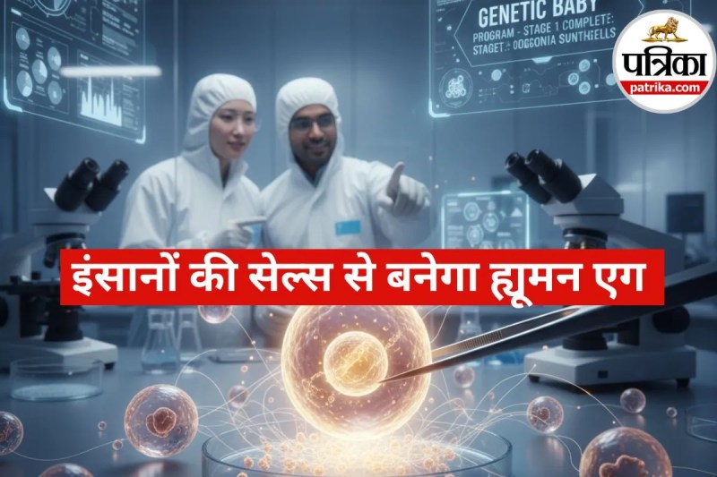 Human Eggs from Skin Cells