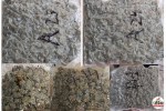 Hydroponic Weed seizure at Mumbai Airport
