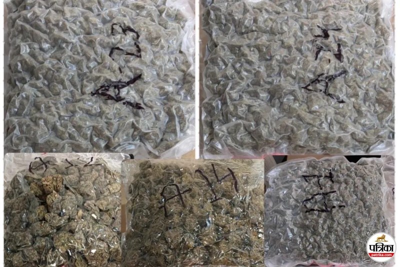 Hydroponic Weed seizure at Mumbai Airport