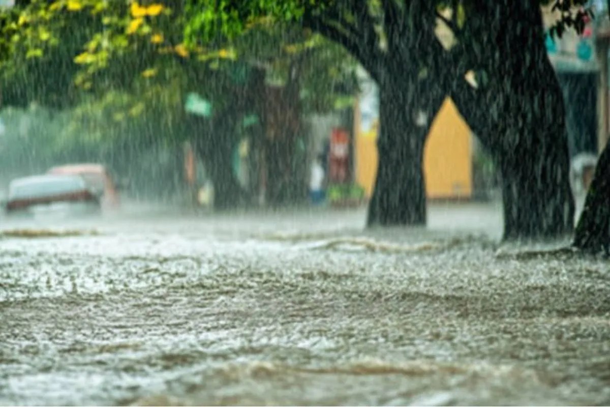 Cyclone Montha: भिलाई में चक्रवात मोंथा का असर! दिनभर छाए रहे बादल, आज हल्की बारिश के आसार...(photo-patrika)