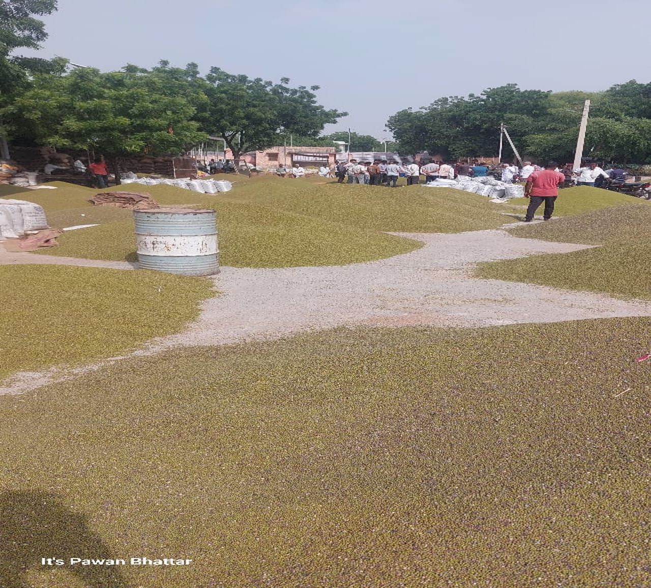 Nagaur patrika…जीएसटी हटाने की मांग पर अड़े व्यापारी, किसानों की उपज मंडी में खराब होने की कगार पर…VIDEO