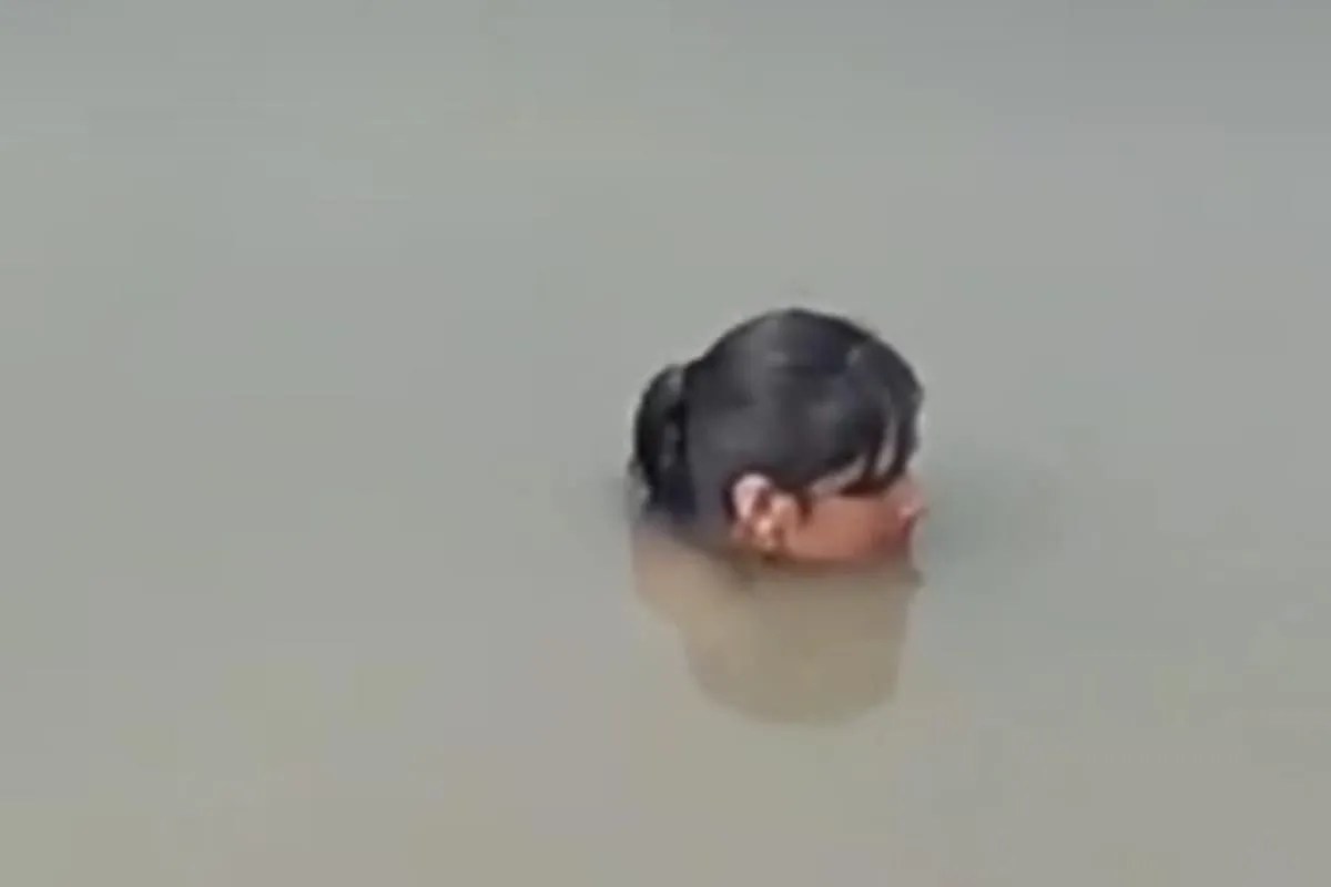 Up news, gorakhpur