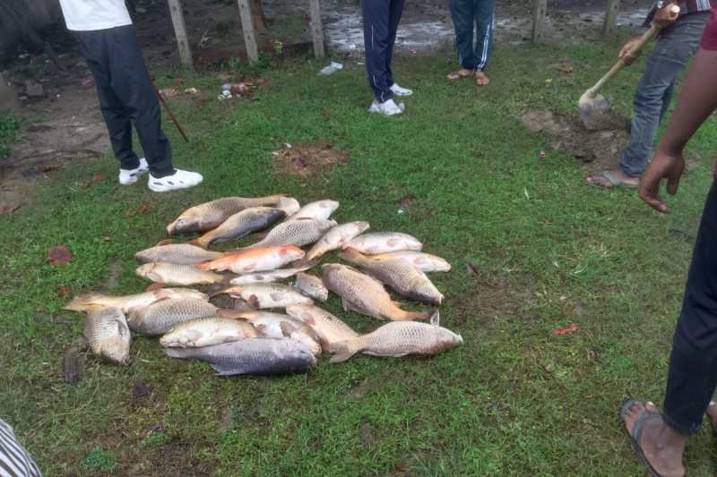 Up news, gorakhpur news