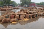Kota Mandi