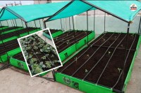 Good News If three-story house in Jaipur you can earn a lot Rajasthan government will provide subsidy Smart City Roof Top Farming Project Start