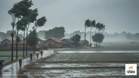 Imd heavy rain alert 26 27 and 31 October weather forecast up rains alert southeast districts