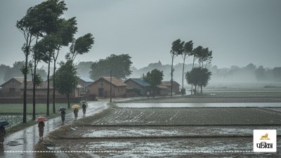 Imd heavy rain alert 26 27 and 31 October weather forecast up rains alert southeast districts