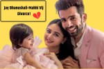 Jay Bhanushali-Mahhi Vij Divorce Update