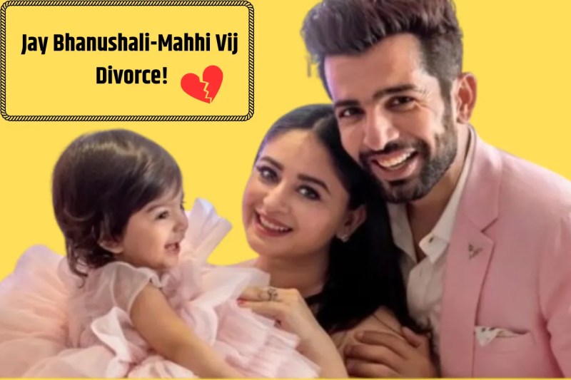Jay Bhanushali-Mahhi Vij Divorce Update
