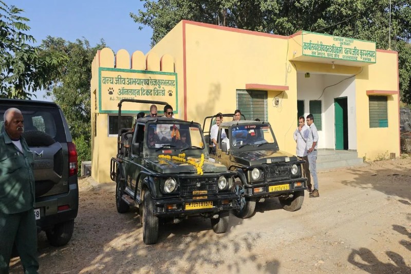 Jungal Safari