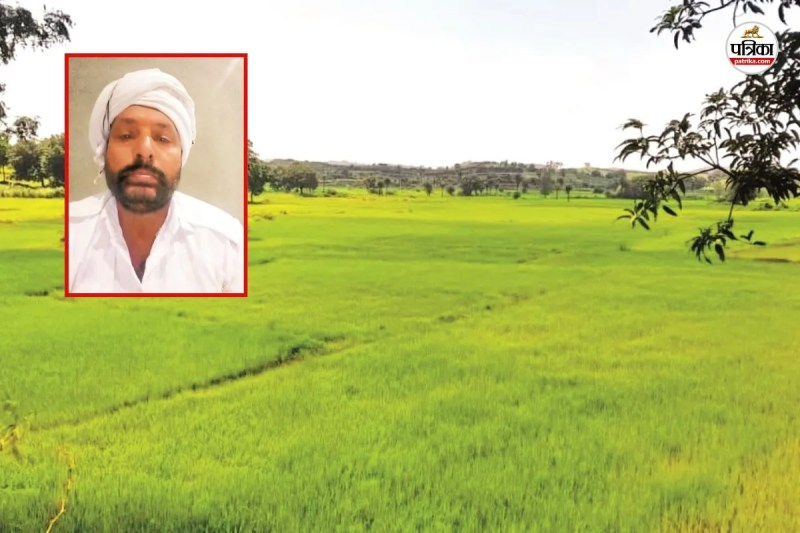 Rajasthan kali kamod rice Foreigners are also crazy farmers are also getting good profits