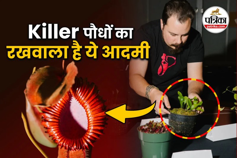 Killer Plants, Killer Plants Photos, danger killer plant, killer plants name,