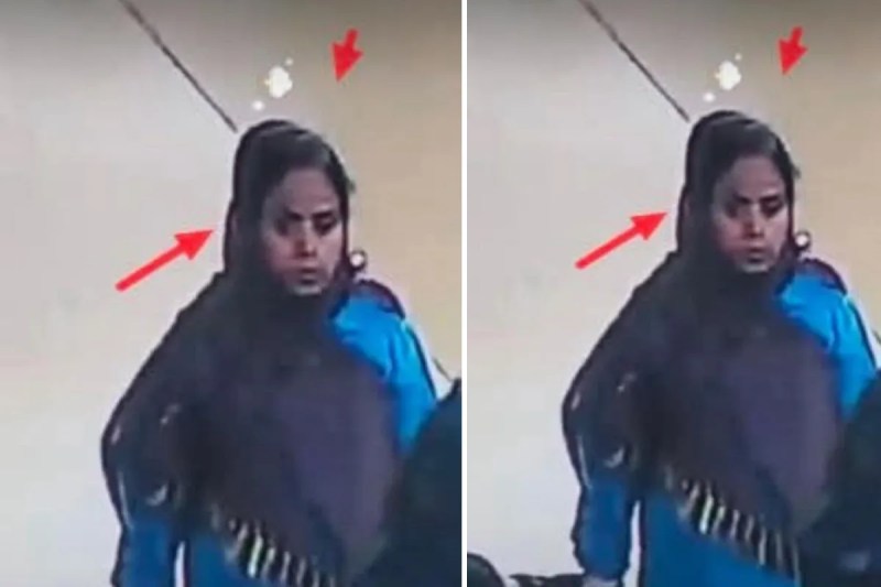 newborn stolen from shivpuri government hospital