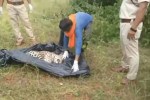 MP news Leopard hunting