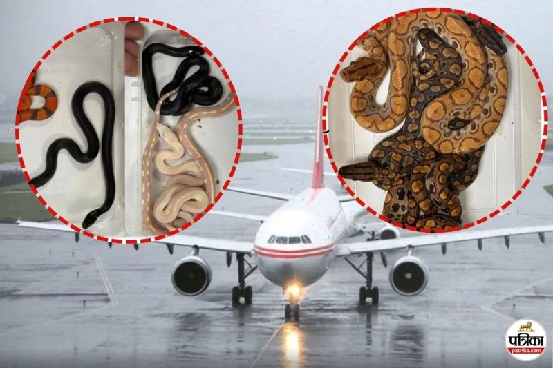 Mumbai Airport smuggling