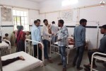 Honeybees attack in Chittorgarh