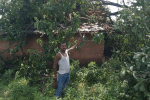 sanjay tiger reserve heavy rain strong storm destruction villages damage mp news
