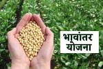 फोटो सोर्स: पत्रिका
