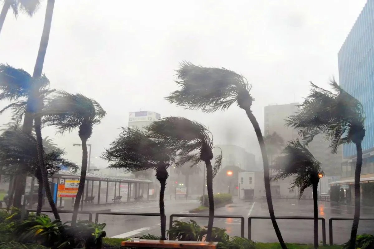 (सोर्स: सोशल मीडिया)