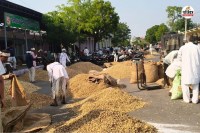 Niwai Agricultural Produce Market