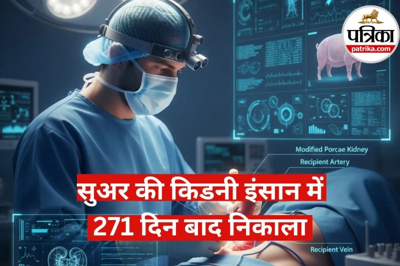 Pig Kidney Transplant