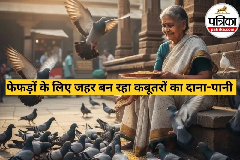 Pigeon Poop Lung Disease