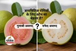 Pink Guava vs White Guava