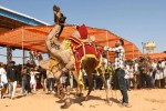 Pushkar Mela 2025