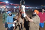 Pushkar Mela 2025
