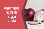 Red Onion Benefits