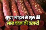 Red sandalwood smuggling racket busted in Delhi 10 tonnes worth Rs 6 crore recovered