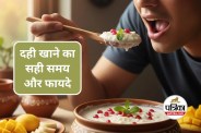 Right Time to Eat Curd