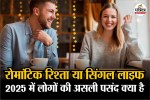 Romantic Relationship Survey, Single vs Relationship Preference, Relationship or Stay Single,