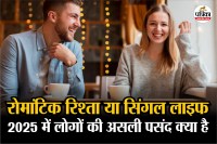 Romantic Relationship Survey, Single vs Relationship Preference, Relationship or Stay Single,