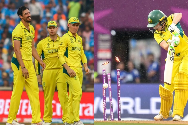 mitchell starc and alyssa Heal