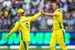 Josh Hazlewood