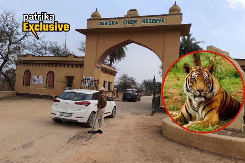 Sariska-Tiger-Reserve