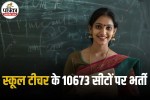 School Teacher Vacancy