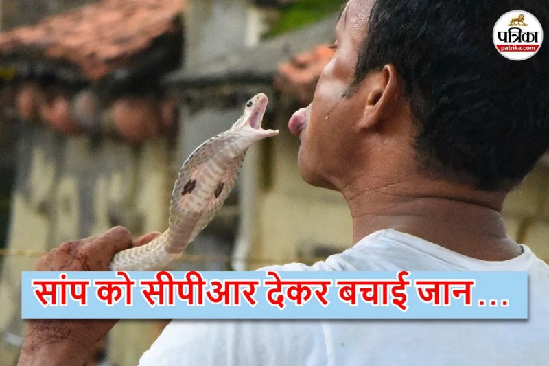 Sarpa Mitra gives CPR to snake