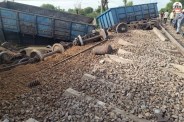 Train Accident