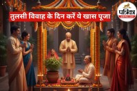 Tulsi Vivah 2025