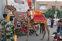 Thar Mahotsav Barmer