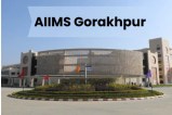 Up news, aiims gorakhpur
