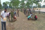 The committee has been working for environmental protection for 2613 days and has planted six thousand trees.